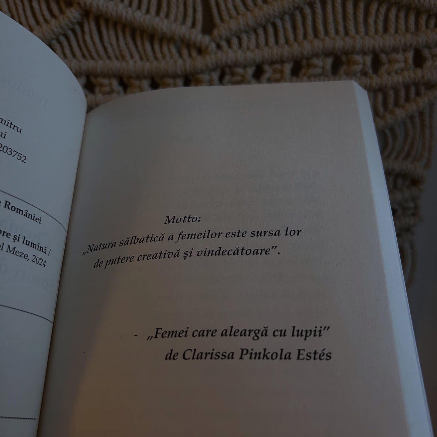 Cartea Mea - Coperta și pagini